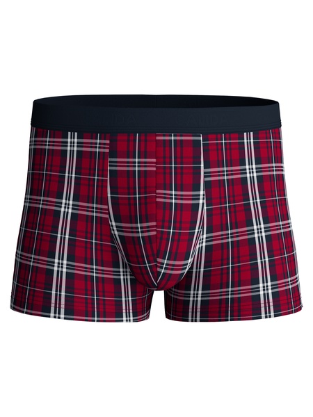 Boxer Brief