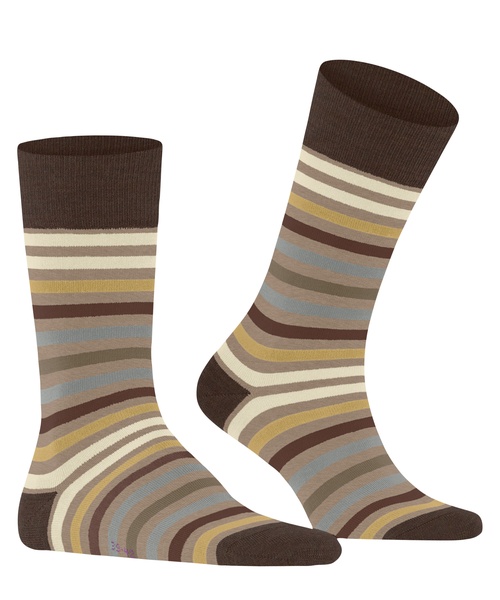 Socken Tinted Stripe