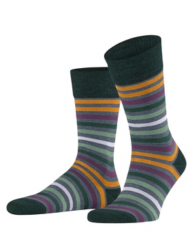 Socken Tinted Stripe