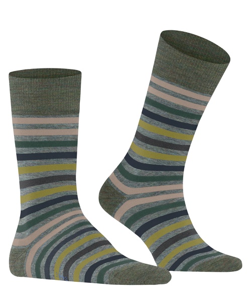 Socken Tinted Stripe