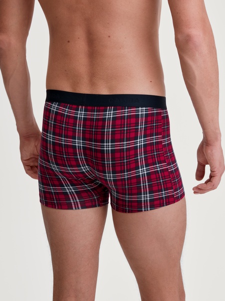 Boxer Brief